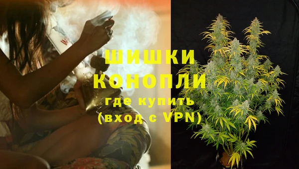 шишки Балабаново