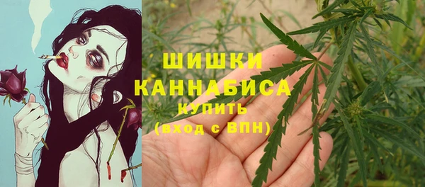ГАЛЛЮЦИНОГЕННЫЕ ГРИБЫ Баксан