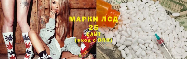 ГАЛЛЮЦИНОГЕННЫЕ ГРИБЫ Баксан
