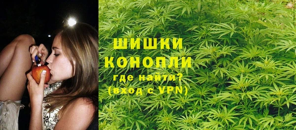 шишки Балабаново